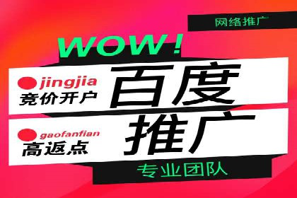 SEM竞价案例分析：提升广告投放效果